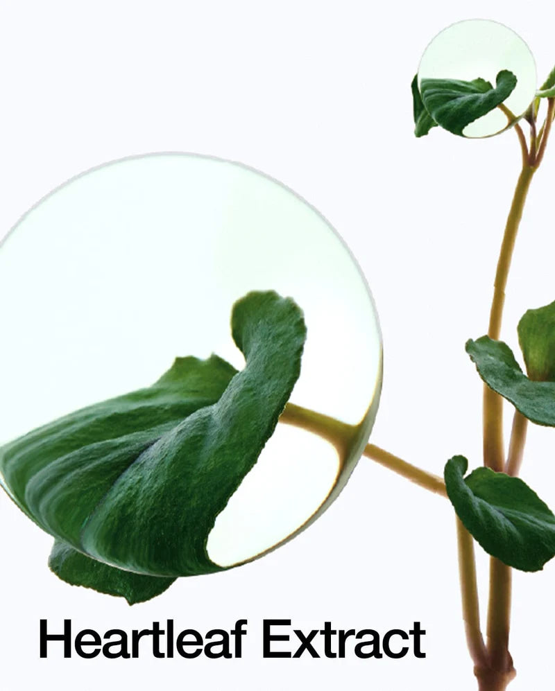 ANUA HEARTLEAF PORE CONTROL CLEANSING OIL